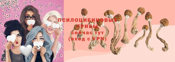 прущая мука Медногорск
