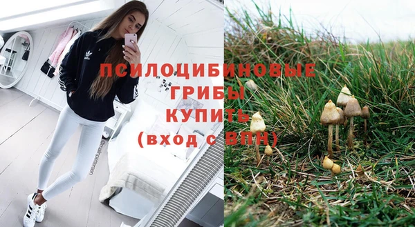 прущая мука Медногорск
