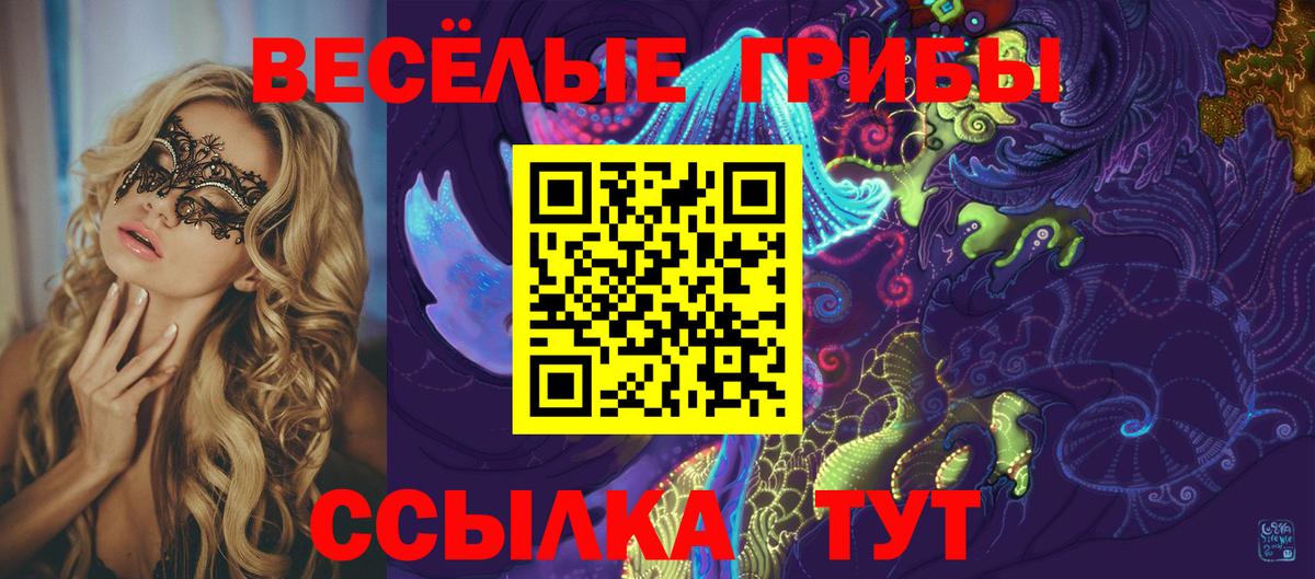 Галлюциногенные грибы прущие грибы  продажа наркотиков  Кимры 