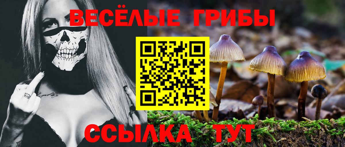 Кимры  Псилоцибиновые грибы GOLDEN TEACHER  Галлюциногенные грибы мухоморы  Вход с VPN 